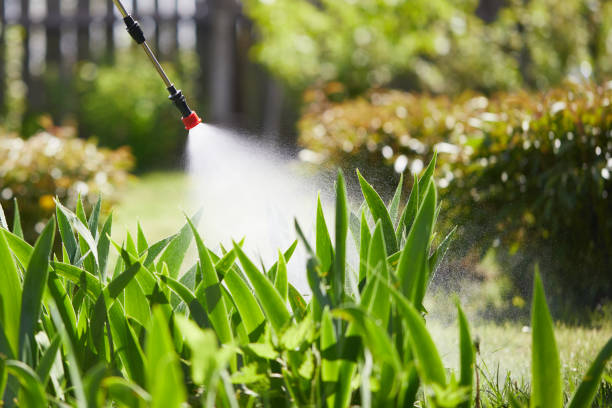 24/7 Emergency Mosquito Control experts in Buchanan, MI