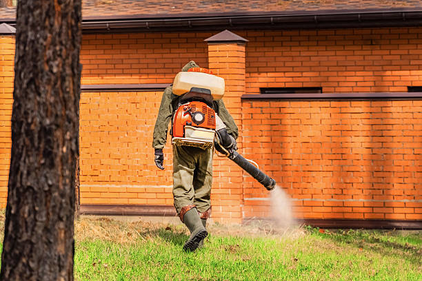 Top rated local Mosquito Control specialists in Buchanan, MI